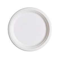 10" Biodegradable Sugarcane Bagasse Round Plate